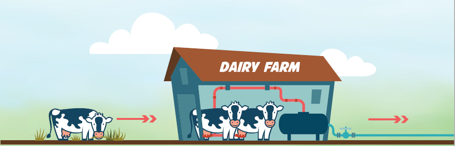 Dairy farms are united with an unwavering common goal.