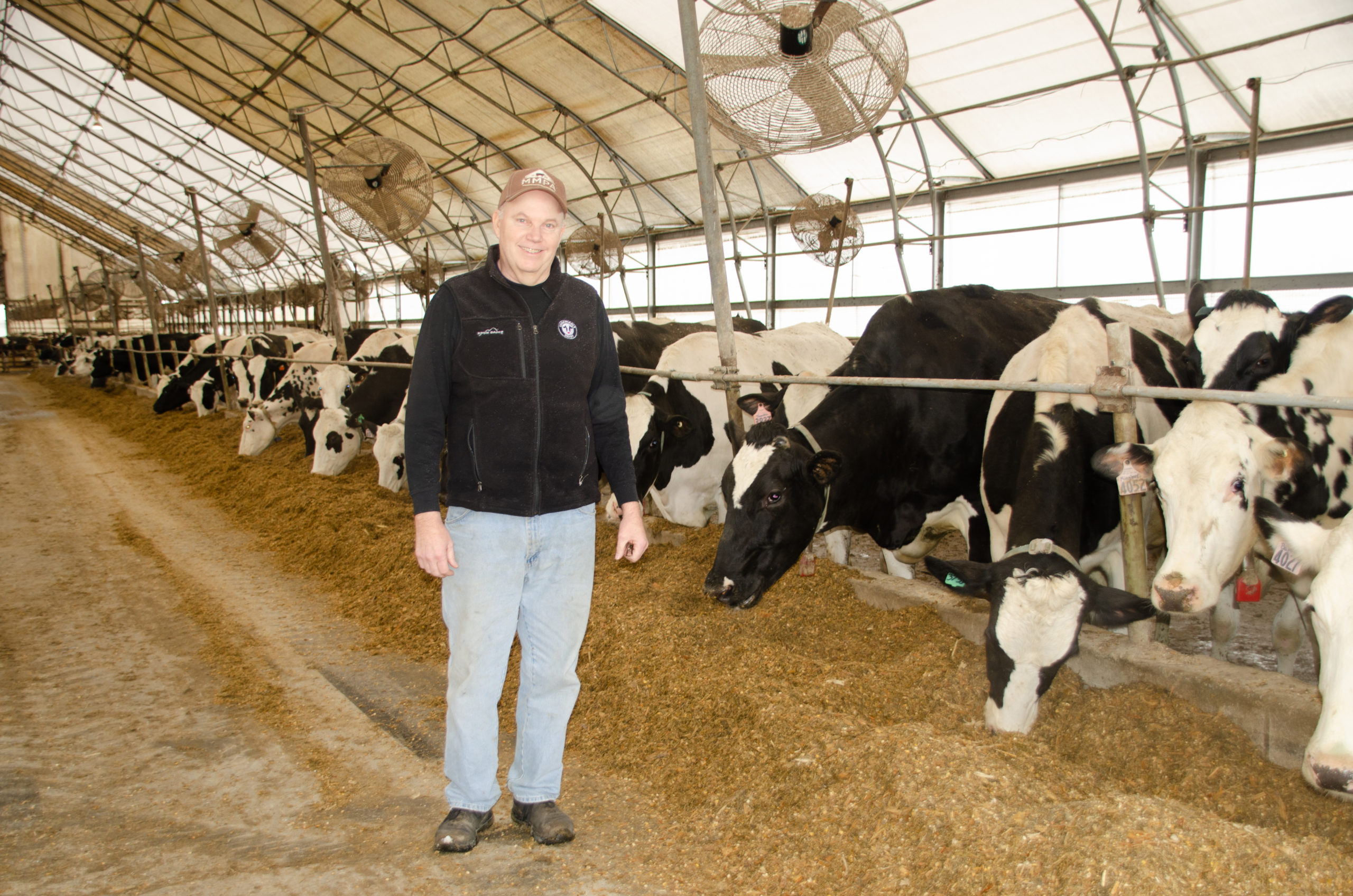 Tim Hood in front of his cows. Part of a farming commitment.