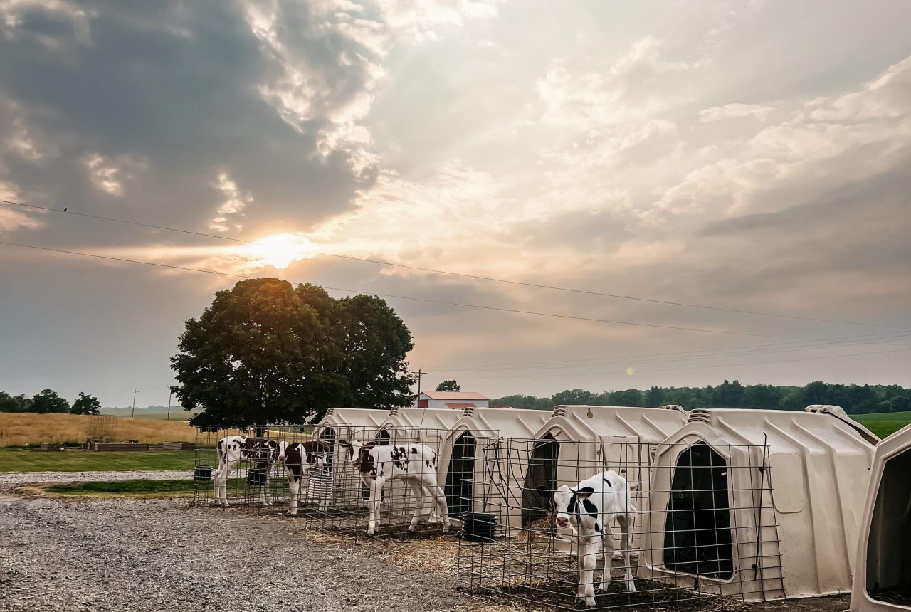 1stPlaceJuliaTroyer-I593-Laotto, IN5