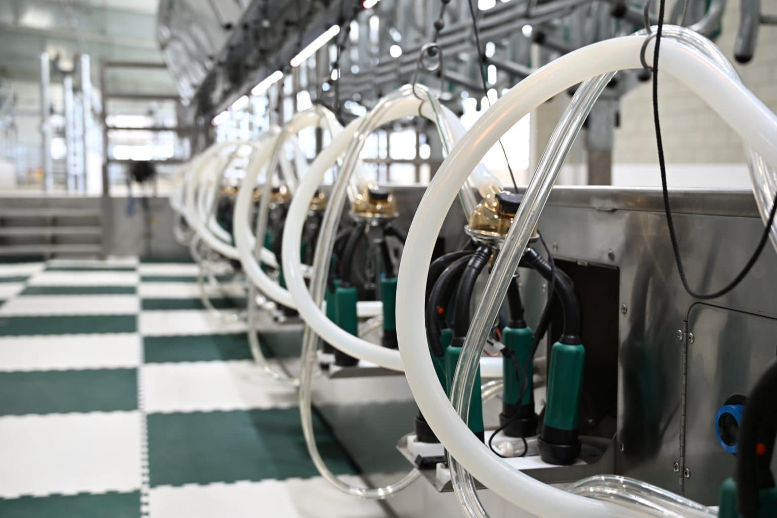 A New Era for Dairy at MSU